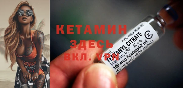 apvp Инсар