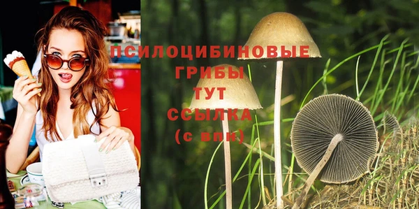 мяу мяу мука Алзамай