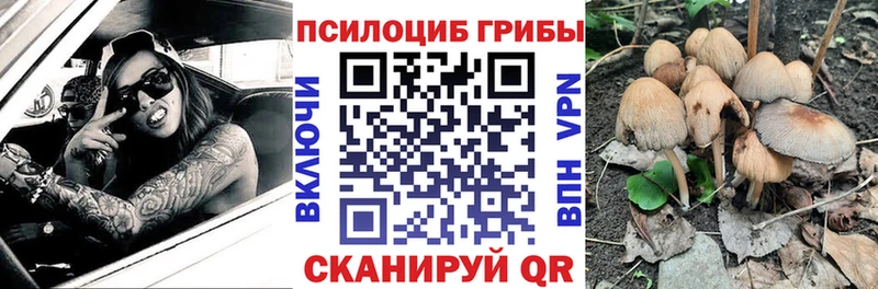 Галлюциногенные грибы Psilocybe  Вичуга 